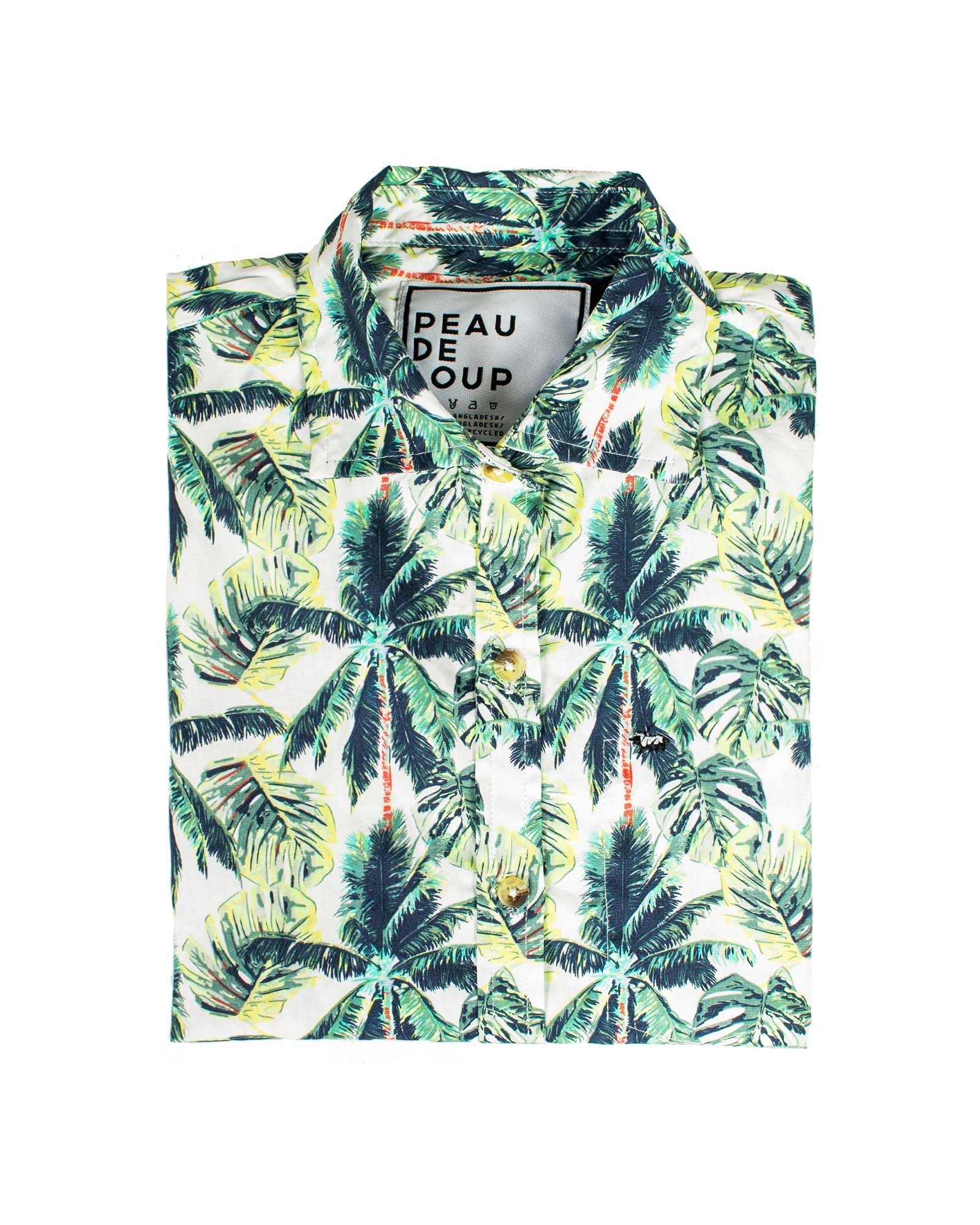Palm
